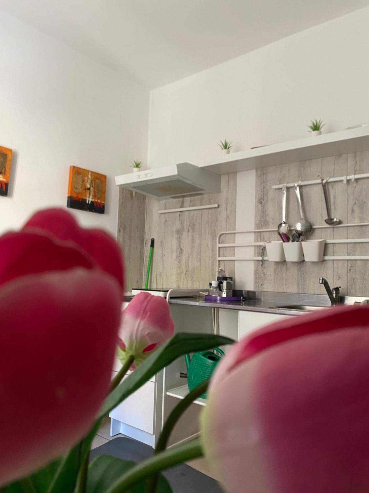 B&B Regina Carolina Caltagirone Zewnętrze zdjęcie